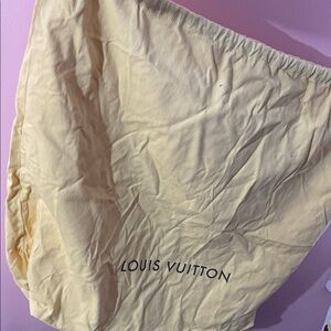 Louis Vuitton Yellow Storage Bag